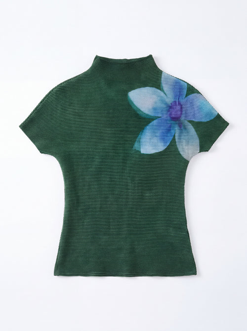 Archive 217 — The Flora